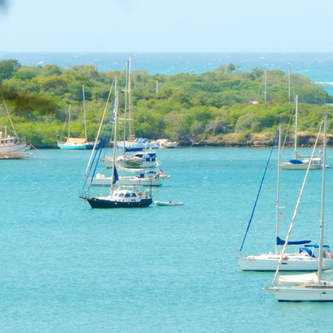 St. George’s and harbour - VisaVoy